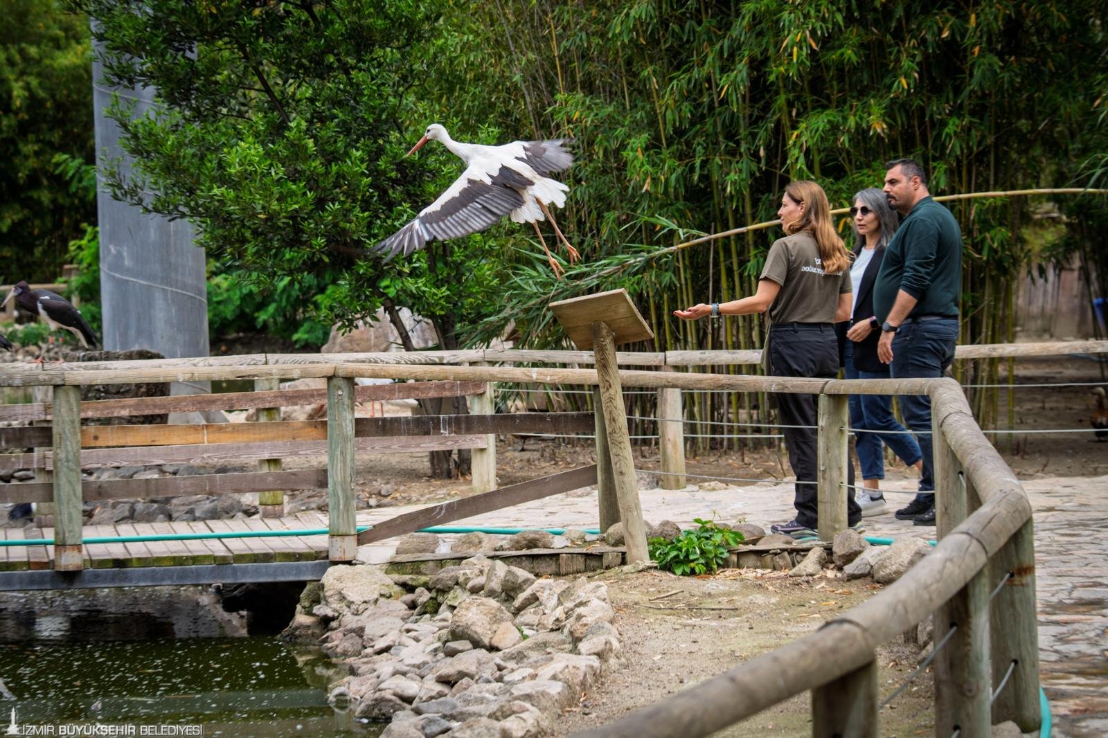 İzmir Büyükşehir Belediyesi Doğal Yaşam Parkı’nda zebra, lemur, ceylan, yaban
