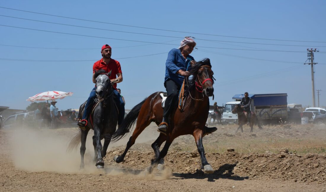 Türkiye'nin dört bir yanından rahvan atların getirilip, yarıştırılacağı Torbalı Geleneksel