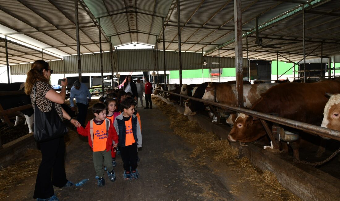 Çiğli’de doğayla iç içe unutulmaz bir gün: Çocuklar çiftlik hayvanlarıyla buluştu Çiğli Belediyesi, çocuklara doğayla iç içe bir gün yaşattı. Çiftlik