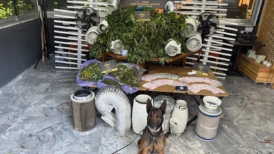 İzmir'in Seferihisar ilçesinde bir villaya düzenlenen operasyonda, sera düzeneğiyle uyuşturucu