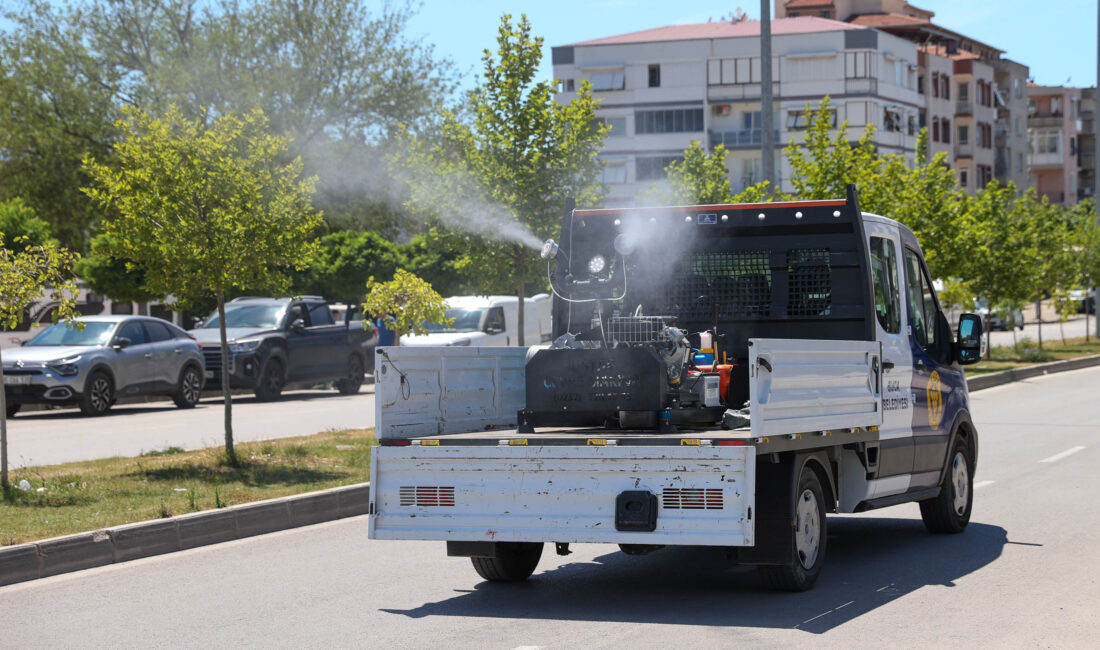 Buca Belediyesi, yaz aylarında artış gösteren sivrisinek, karasinek, hamam böceği,