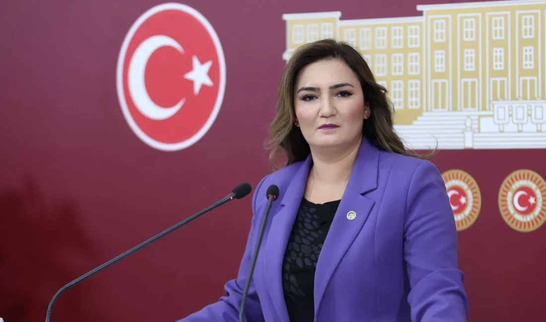 CHP İzmir Milletvekili Sevda Erdan Kılıç, geçen sene gerçekleşen büyük