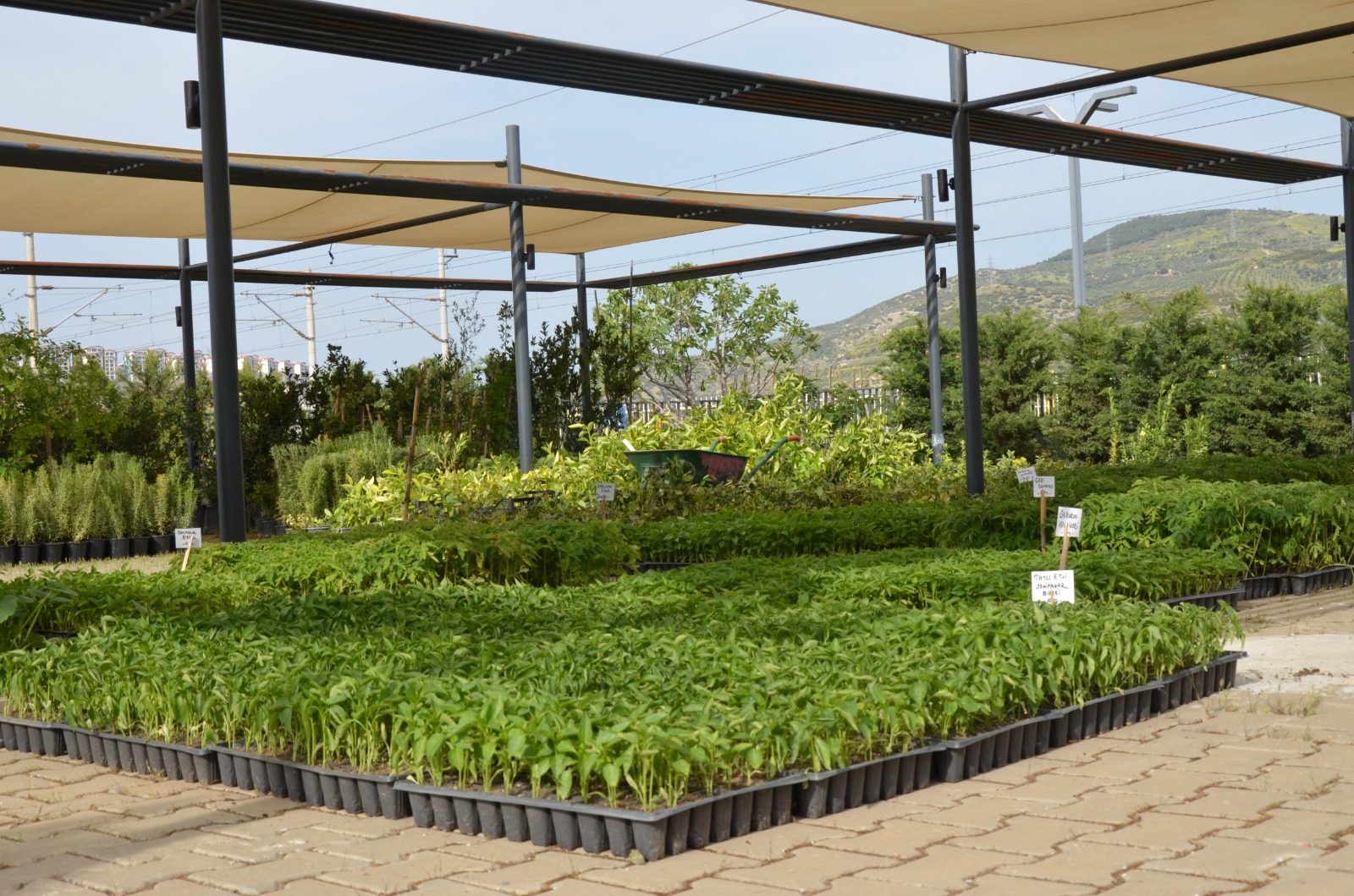 Efes Selçuk Belediyesi'nin Köy Enstitüleri'nden ilhamla kurduğu Efes Tarlası Yaşam