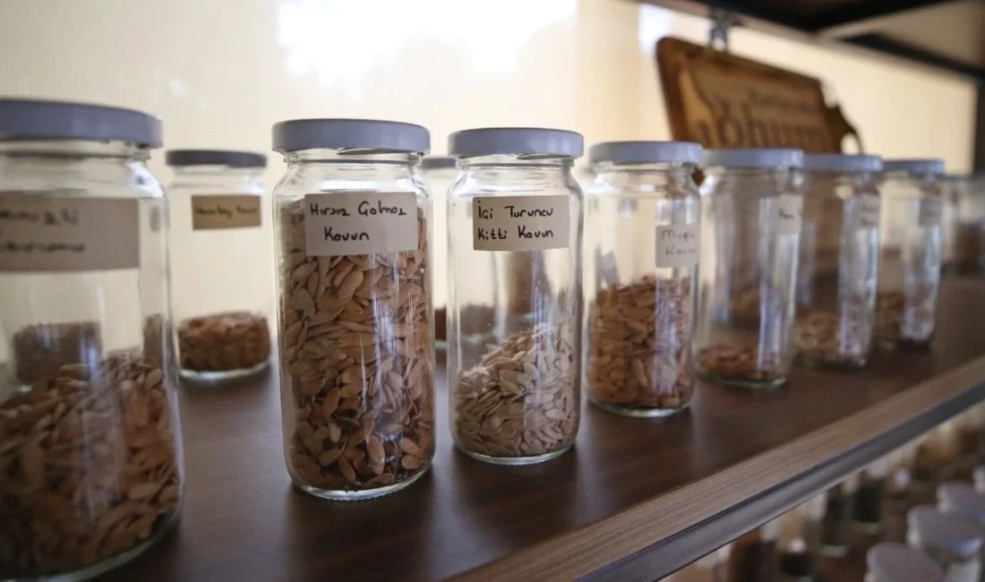 Karşıyaka Belediyesi’nin Tohum Merkezi, 69 farklı türde 201 binden fazla