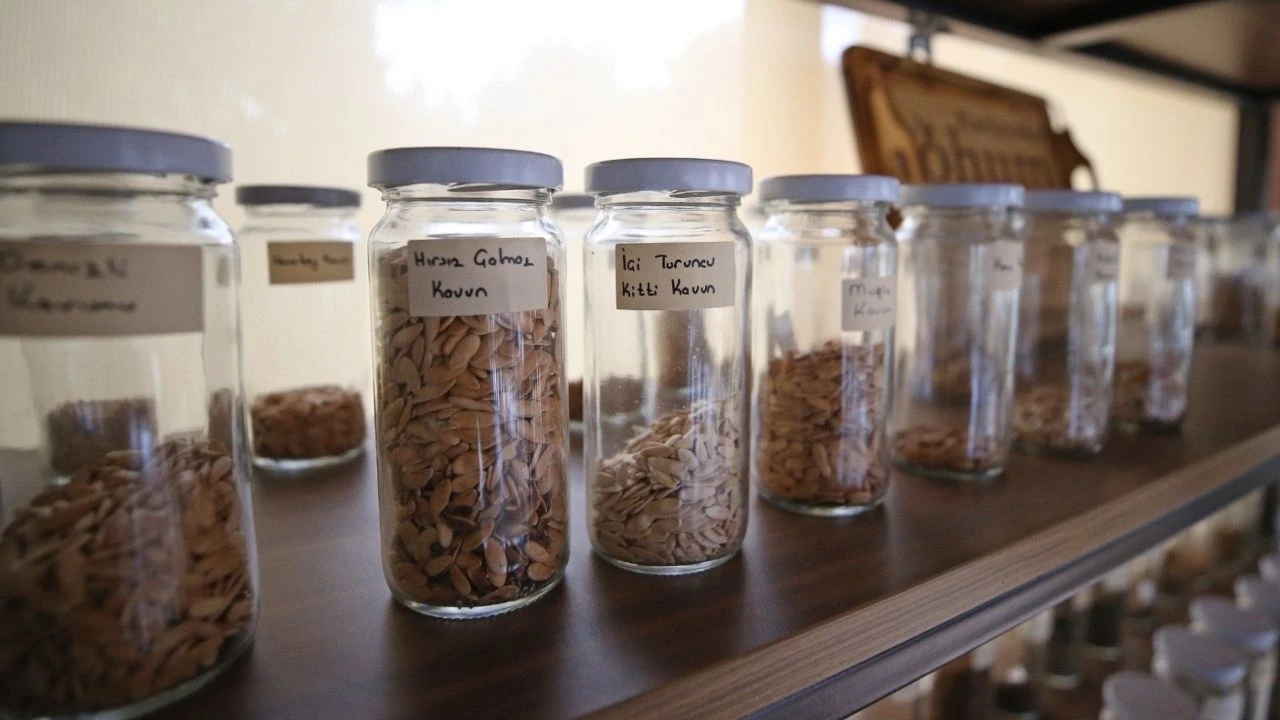 Karşıyaka Belediyesi’nin Tohum Merkezi, 69 farklı türde 201 binden fazla