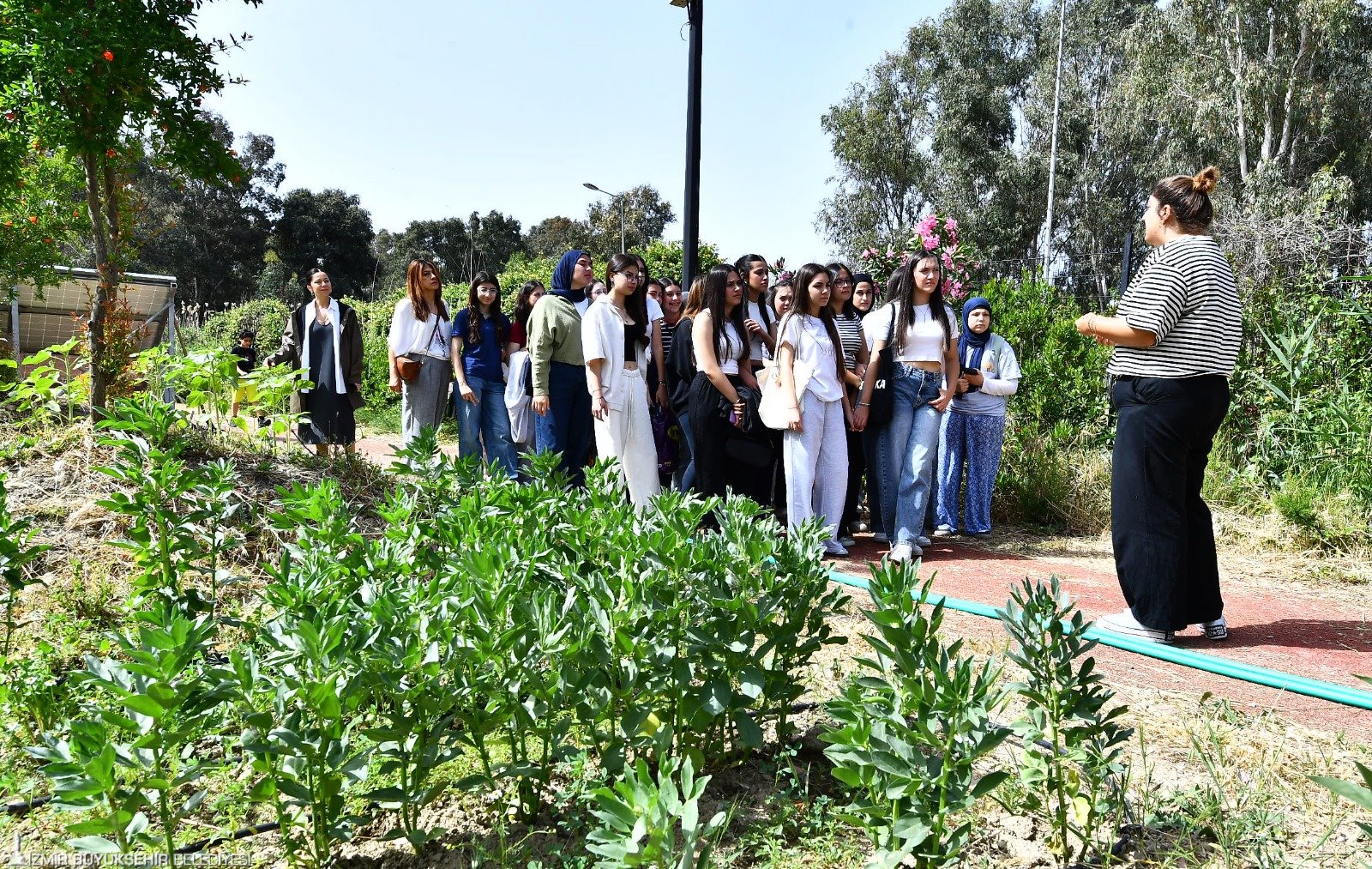 İzmir Büyükşehir Belediyesi’ne bağlı İzmir Tarımı Geliştirme Merkezi (İZTAM), 5’ten