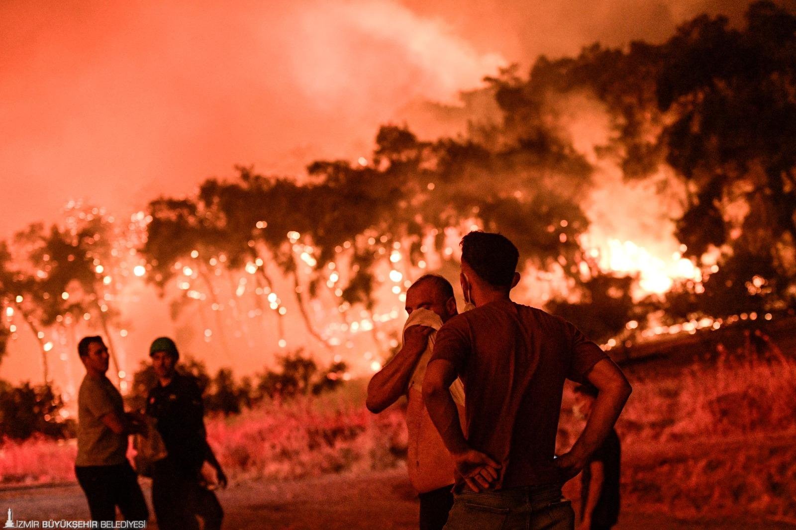 İzmir'de akşam saatlerinde Aliağa'da çıkan ve ormanlık alana sıçrayan yangın