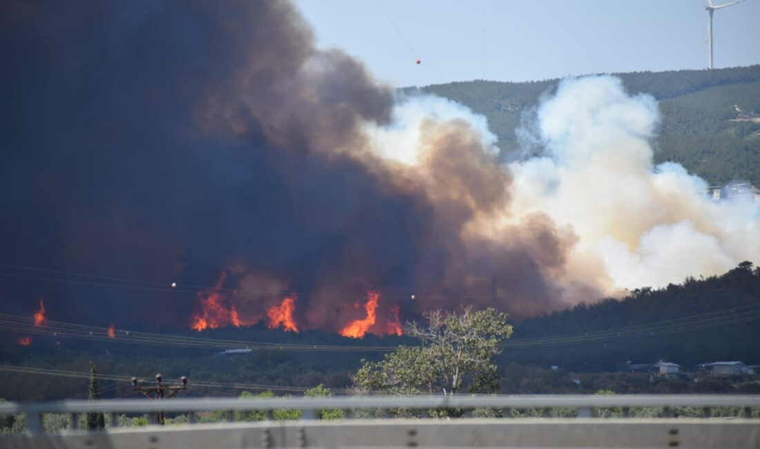 İzmir Bornova'da dün çıkan orman yangınından bugün güzel haber geldi.