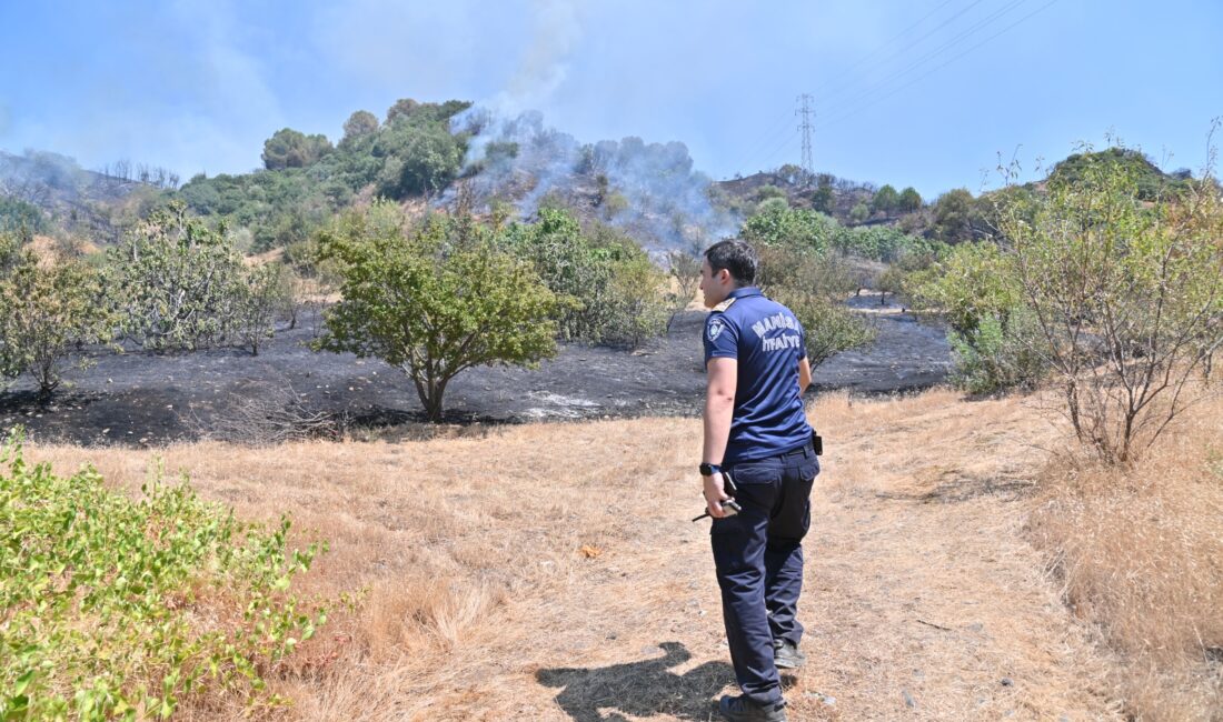 Manisa’da bu hafta etkisini artıran sıcak hava dalgası, orman ve