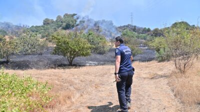 Manisa’da bu hafta etkisini artıran sıcak hava dalgası, orman ve