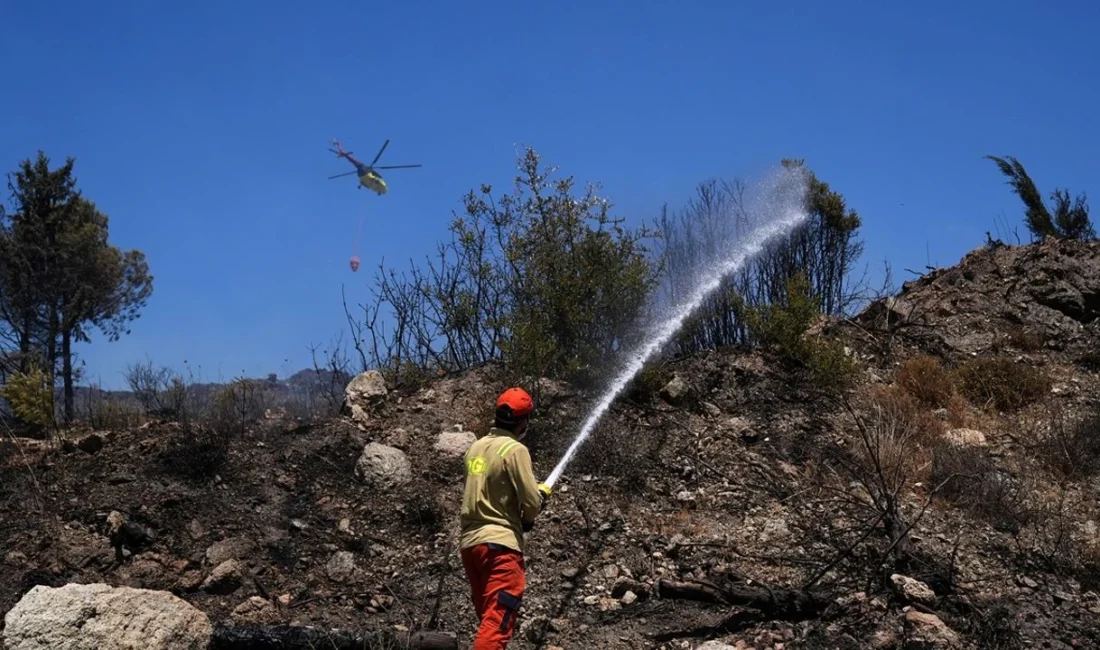 İzmir'in Aliağa ilçesinde çıkan orman yangını, havadan ve karadan müdahaleyle