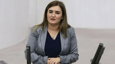 CHP İzmir Milletvekili Sevda Erdan Kılıç, enerji ve maden alanlarına