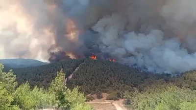 Aliağa’dan Foça’ya sıçrayan orman yangınında 20 saattir süren müdahale devam