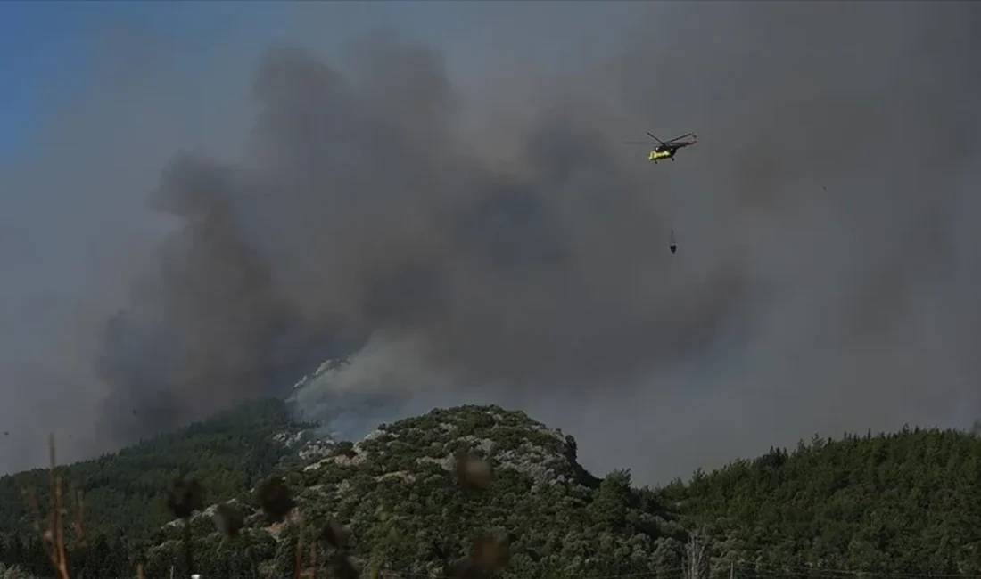 Menderes ve Seferihisar’daki orman yangınlarında gece boyunca kara ekipleri mücadele