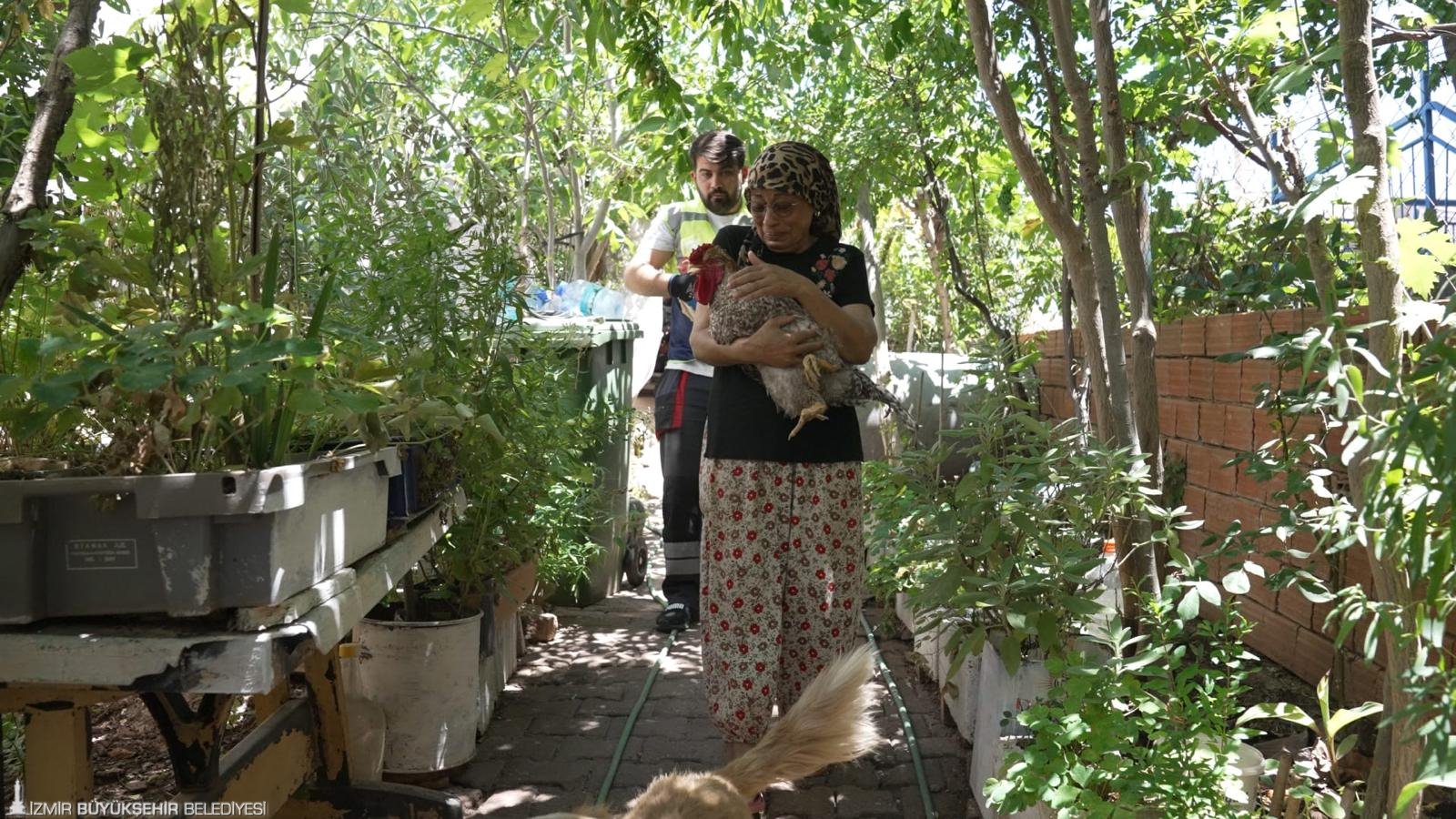 İzmir’de günlerdir süren orman ve ot yangınları, birçok yurttaşı etkiledi.