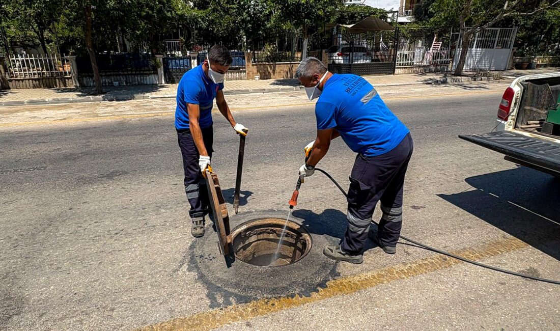 Halk sağlığını korumaya yönelik planlı çalışmalar kapsamında, Efeler Belediyesi Sağlık