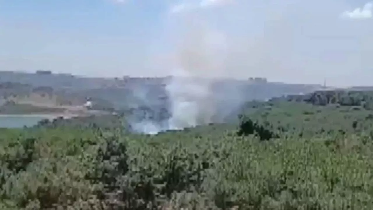 İstanbul Sultangazi'de de orman yangını çıktı. Kent ormanına çok sayıda