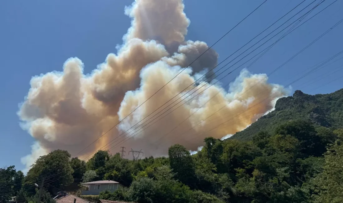 Sakarya’nın Geyve ilçesi Balaban mevkisinde çıkan orman yangını, rüzgarın etkisi
