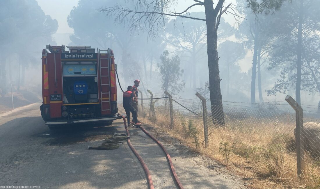 İzmir’in Bergama ilçesinde sabah saatlerinde başlayan yangın şiddetli rüzgarın etkisiyle