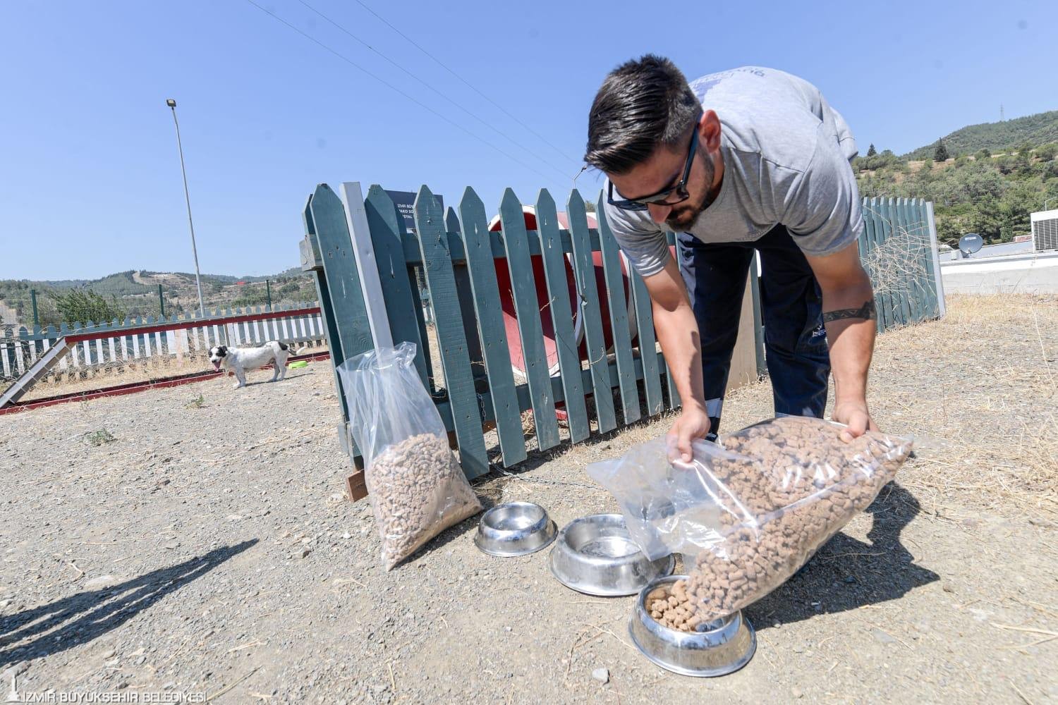 İzmir Büyükşehir Belediyesi, bünyesindeki bakımevlerinde bulunan can dostları, kendi ürettiği