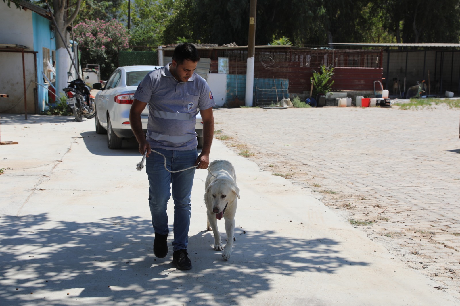Efes Selçuk Belediyesi Hayvan Barınağı, sahipsiz dostlar için kalıcı bir