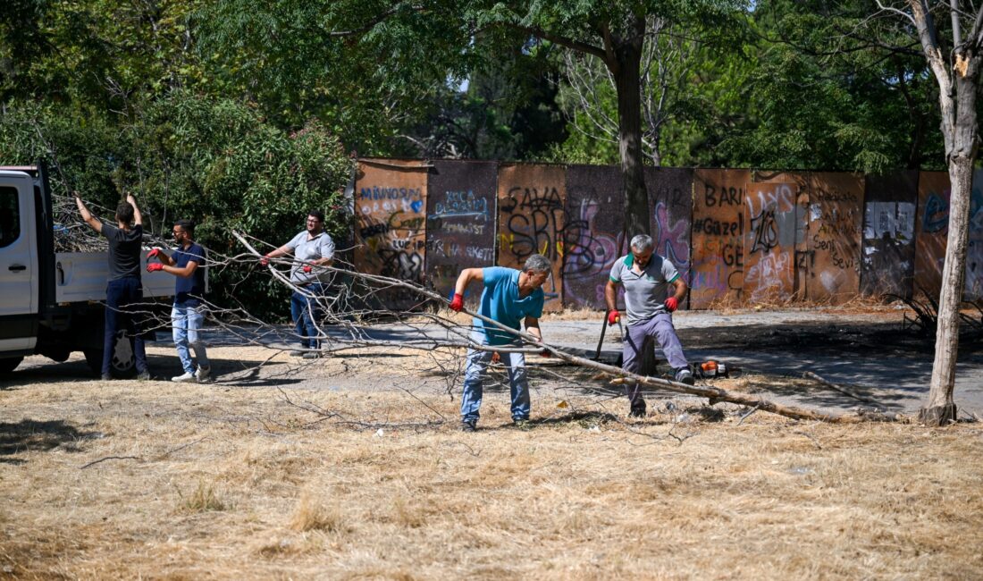 166 yıllık Paterson Köşkü’nün restorasyonu sırasında çevresi kapatılınca köşk önündeki