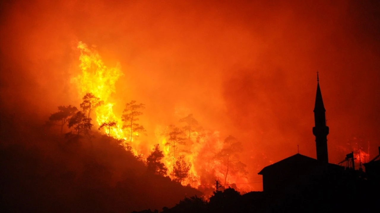 İzmir Valisi Süleyman Elban, Ödemiş ilçesinde çıkan orman yangını nedeniyle