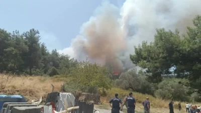 İzmir'in Bornova ilçesi Gökdere Mahallesi'nde başlayan orman yangını rüzgarın etkisiyle