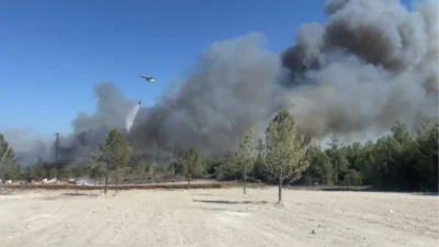 İzmir'in Buca ilçesi Kaynaklar mevkiinde yer alan Zafer Mahallesi'nde orman