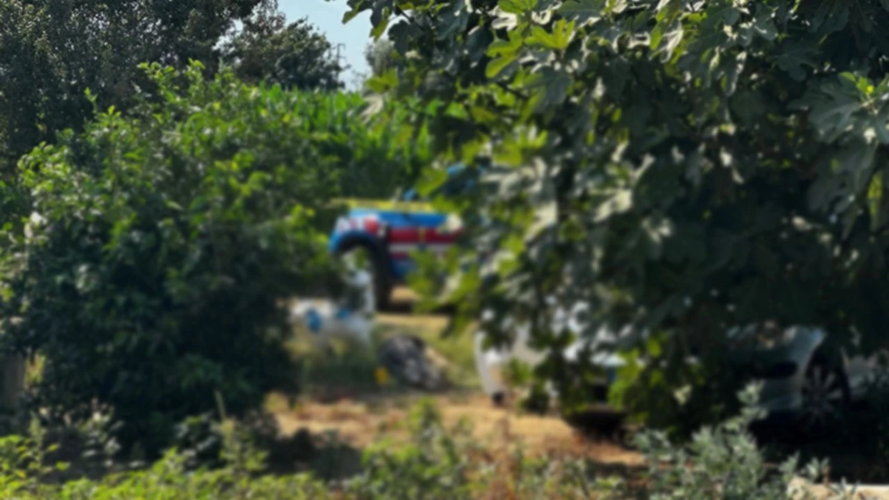 İzmir’in Ödemiş ilçesinde yaşanan olayda, babasını balta ile ağır yaralayan