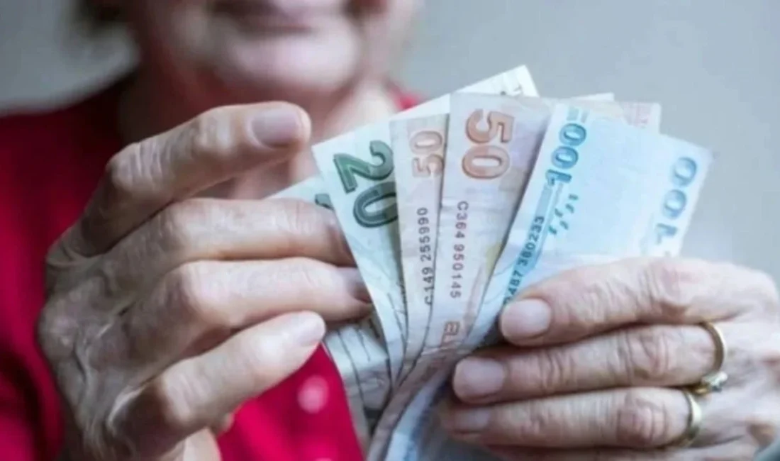 Çalışma ve Sosyal Güvenlik Bakanı Vedat Işıkhan, en düşük emekli