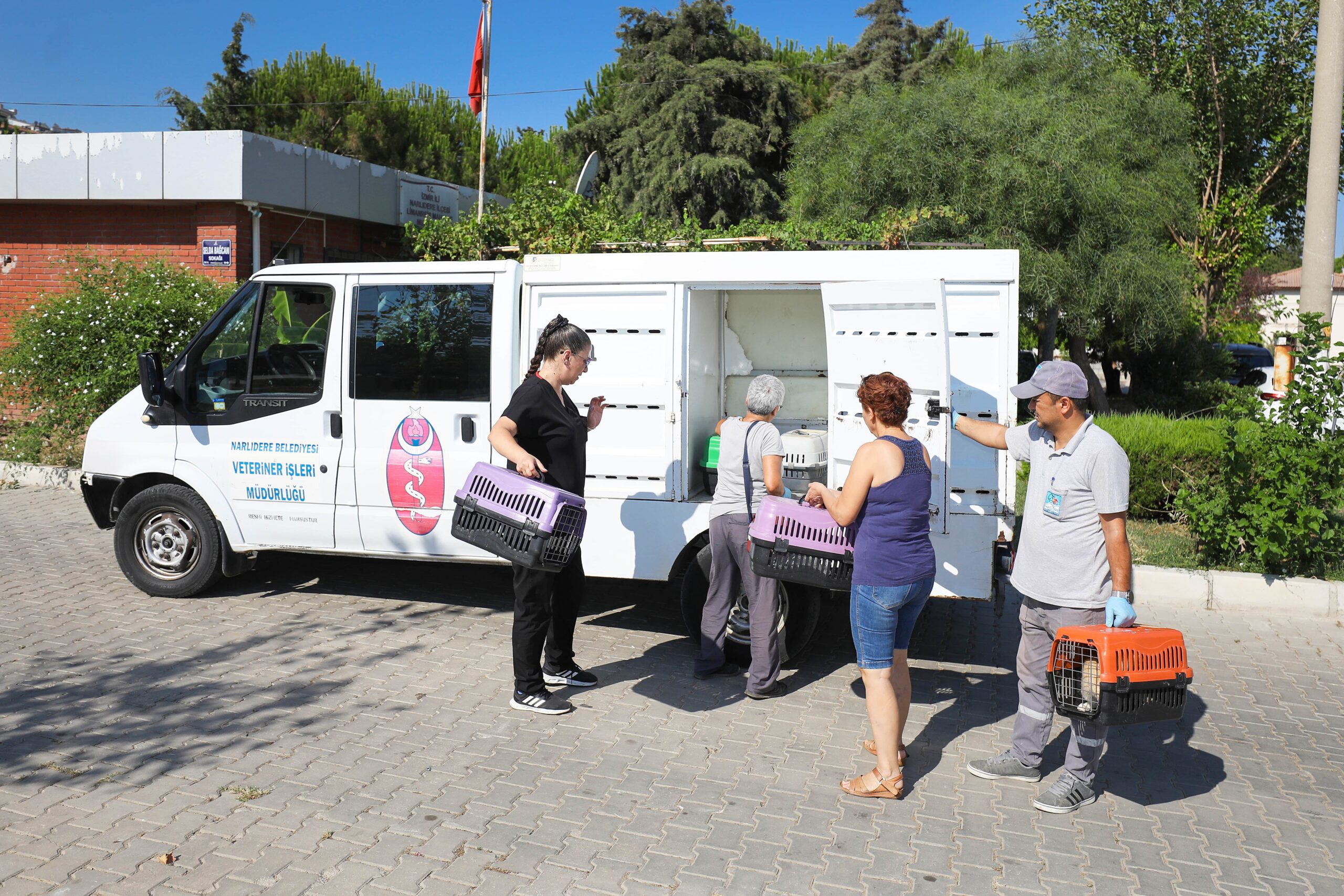 Narlıdere Belediyesi, sahipsiz kedilerin sağlığını korumak ve kontrolsüz üremenin önüne