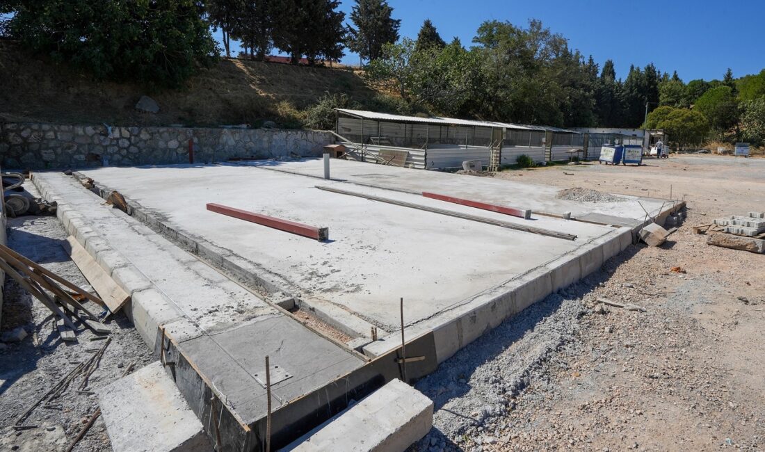 Gaziemir Belediyesi, sokak hayvanlarının sağlıklı ve güvenli bir yaşam sürdürebilmesi