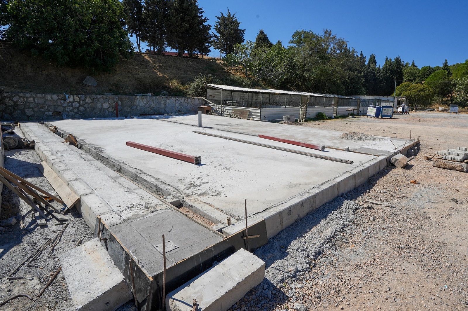 Gaziemir Belediyesi, sokak hayvanlarının sağlıklı ve güvenli bir yaşam sürdürebilmesi