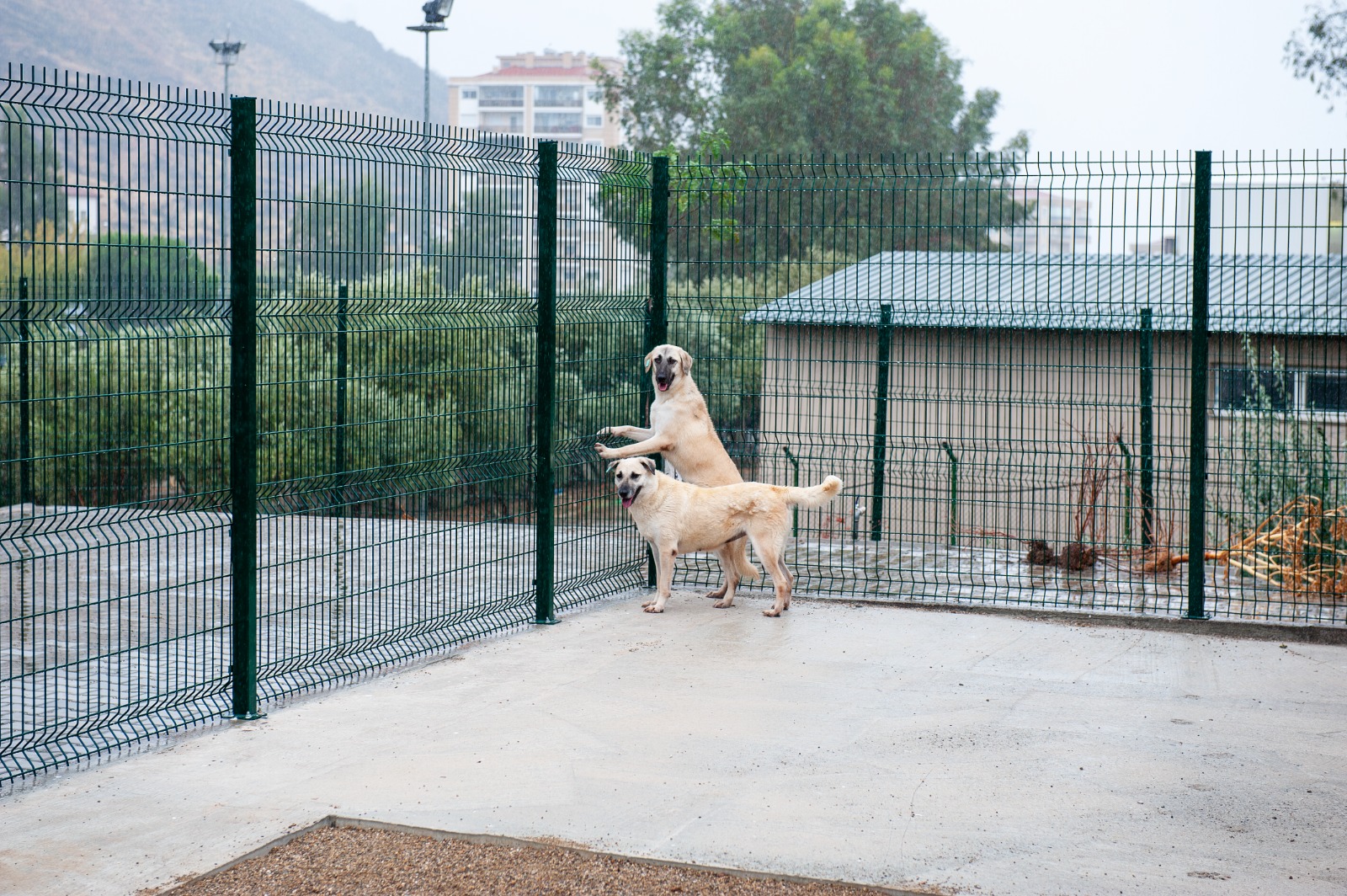 Karşıyaka Belediyesi tarafından, Bakioğlu Holding Yönetim Kurulu Başkanı Cem Bakioğlu'nun