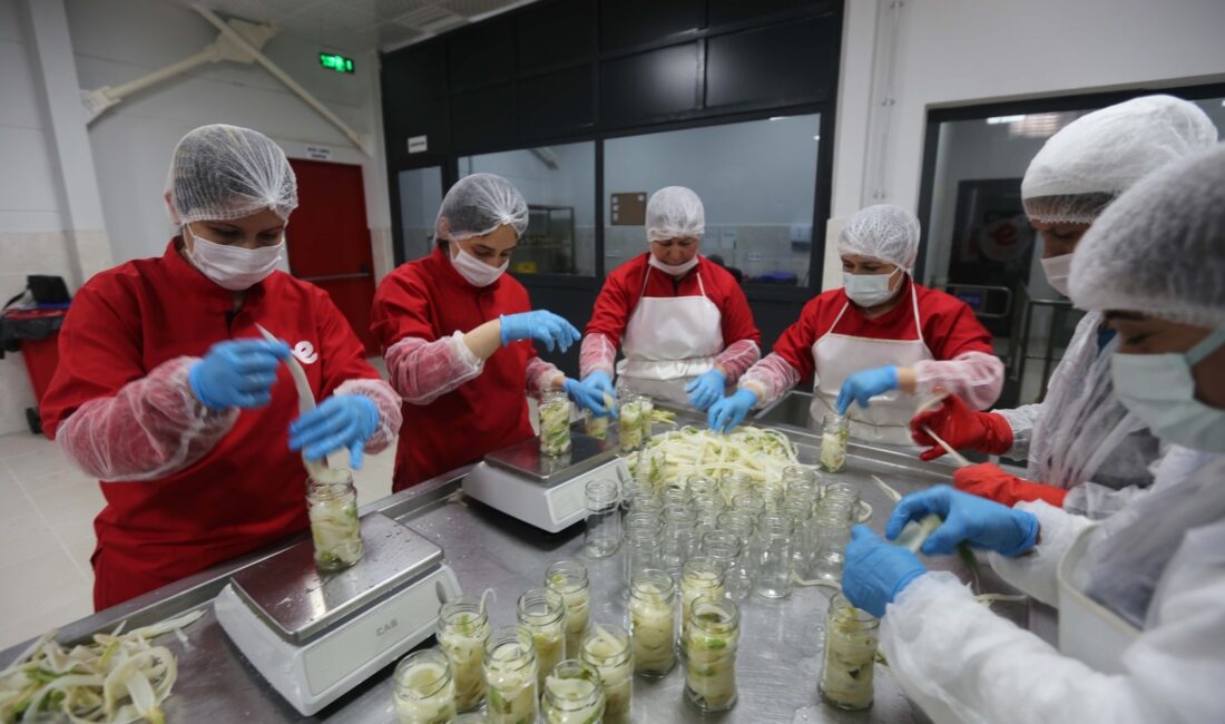 Efeler Belediyesi Kadın Emeği Tarımsal Ürün Fabrikası, kadınlara iş imkânı