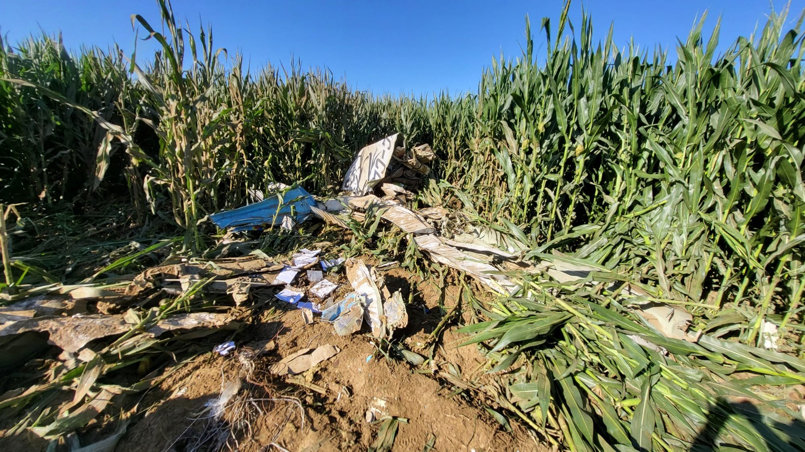 İzmir'in Torbalı ilçesinde eğitim uçağı düştü. Olayda pilot hayatını kaybetti.
