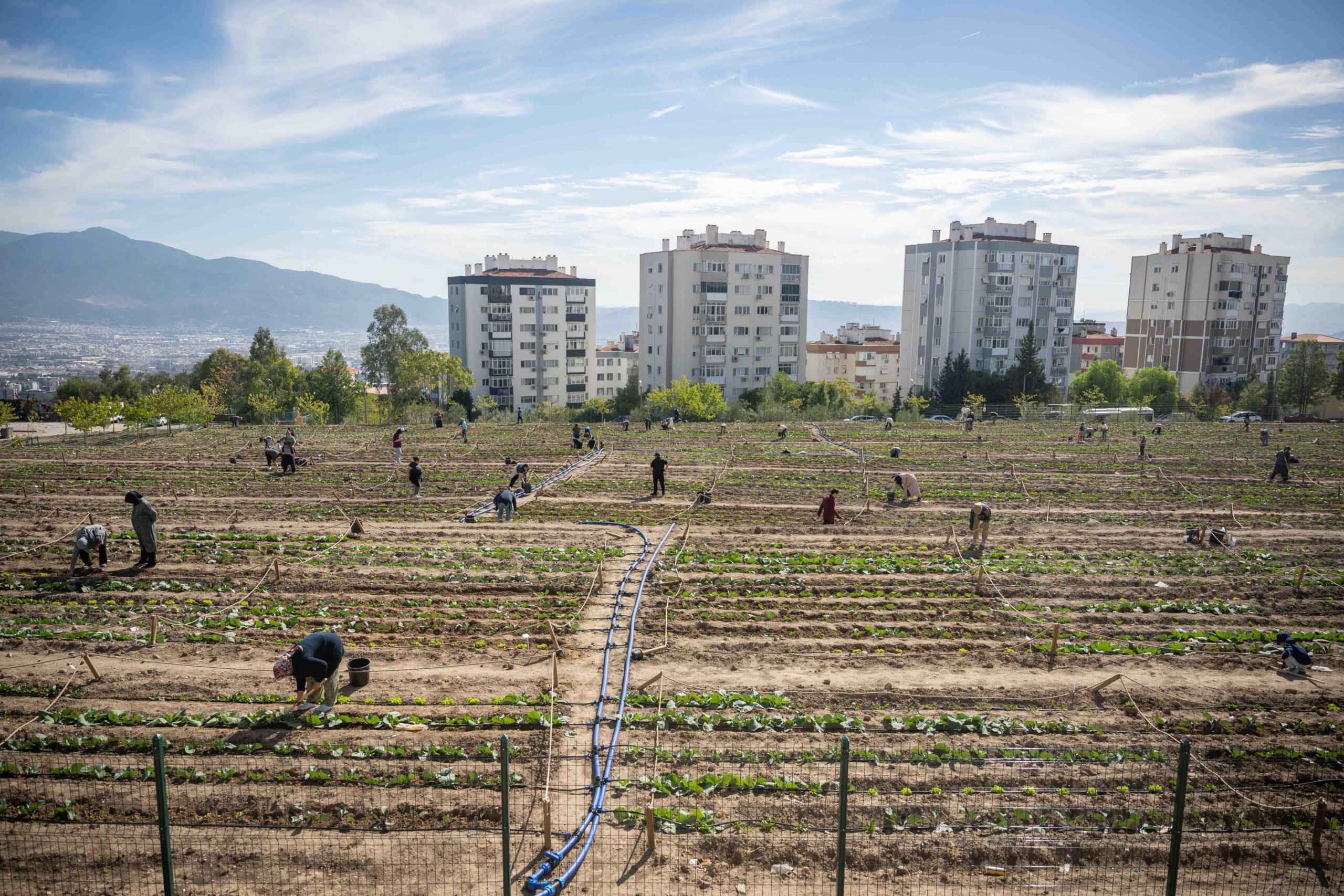 Bornova Belediyesi’nin 6 farklı noktada kurduğu Kent Bostanları’nda 481 kadın,