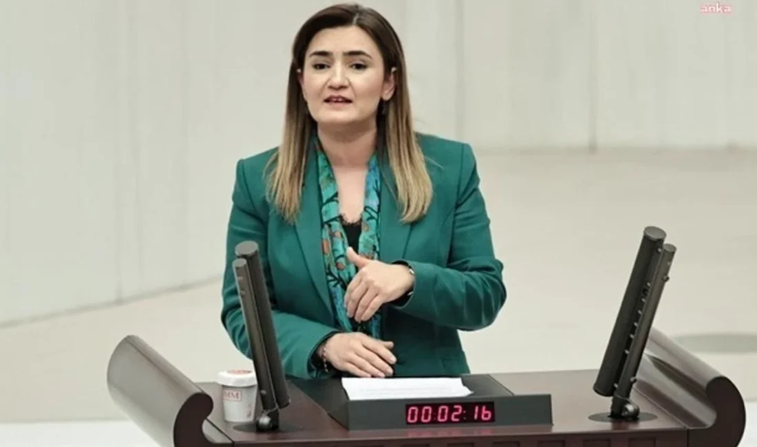 CHP İzmir Milletvekili Sevda Erdan Kılıç, Şanlıurfa ve Kahramanmaraş’taki okul