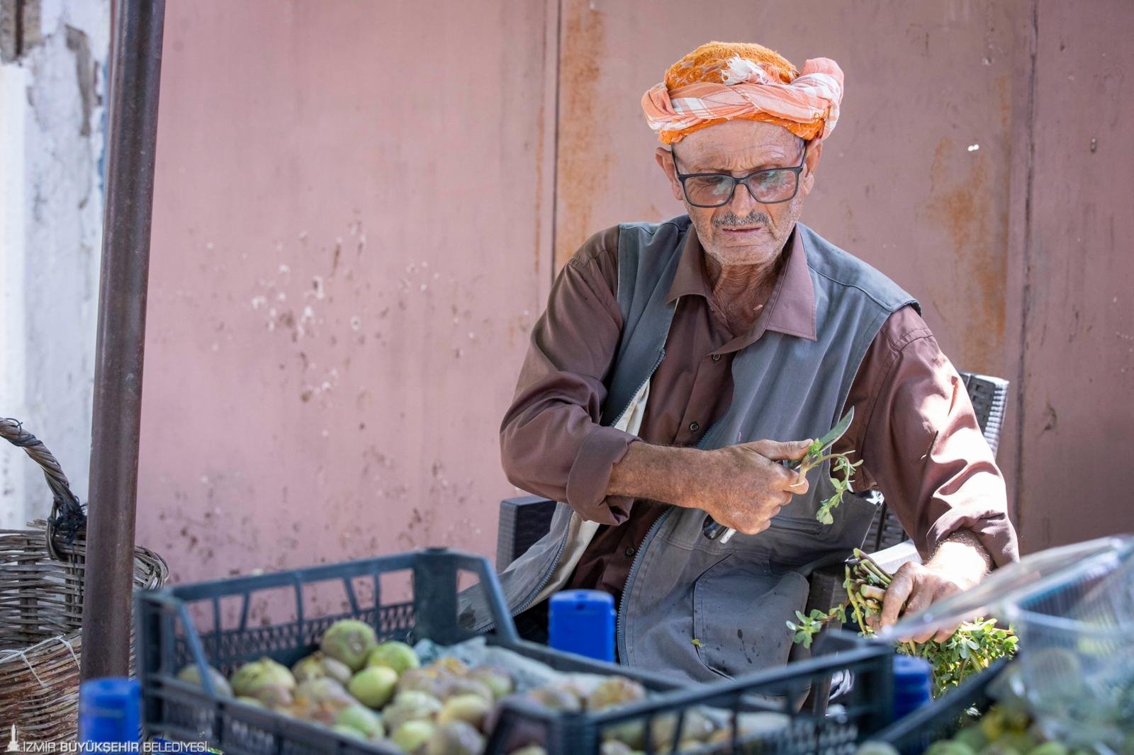 İzmir Büyükşehir Belediyesi, incir üreticilerinin ürünlerini daha hijyenik koşullarda kurutabilmesi