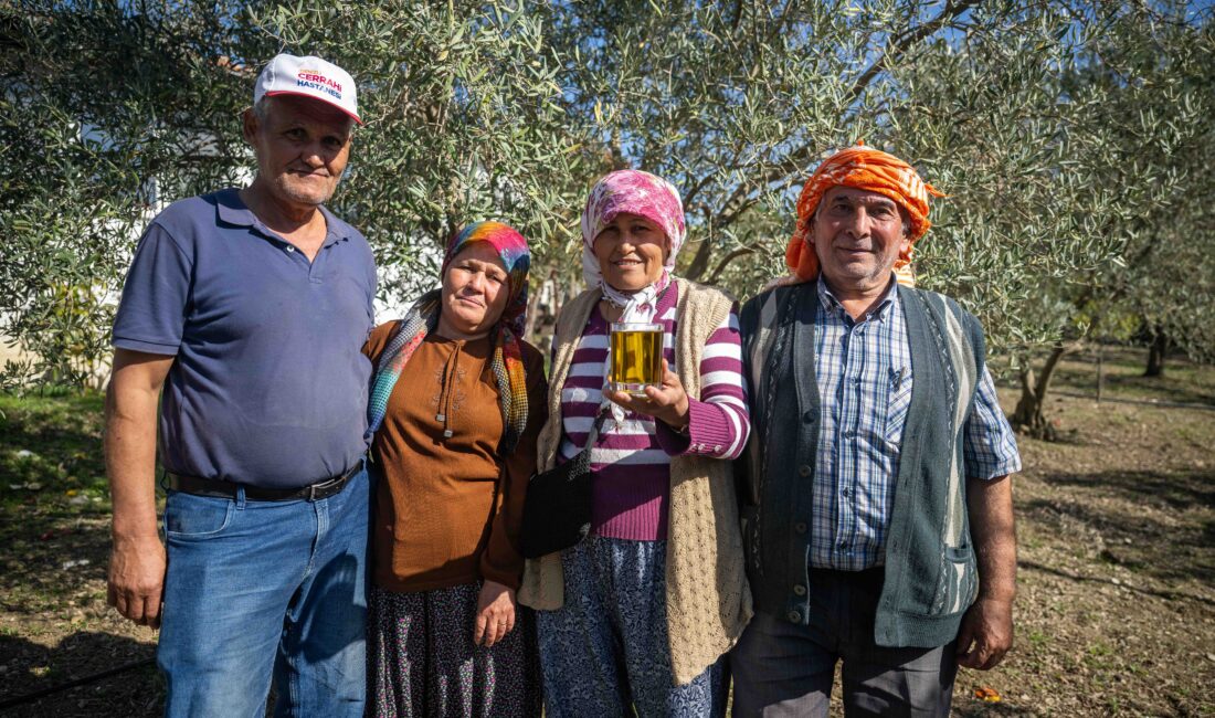 Bornova Belediyesi, zeytin üreticilerine destek olmak amacıyla hasat edilen zeytinleri