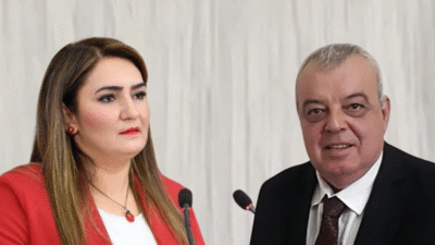 CHP İzmir Milletvekili Sevda Erdan Kılıç, CHP Bornova İlçe Başkanı
