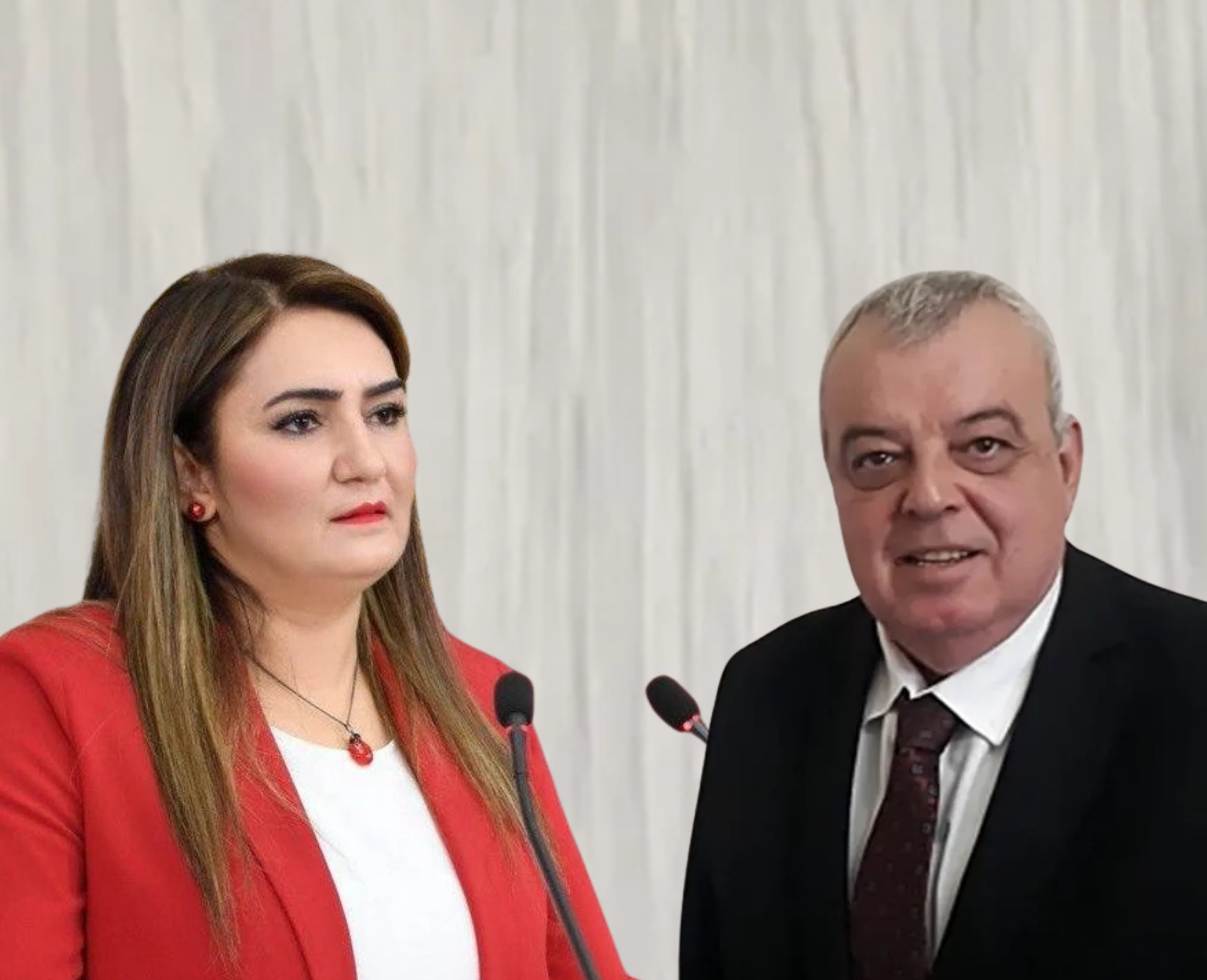 CHP İzmir Milletvekili Sevda Erdan Kılıç, CHP Bornova İlçe Başkanı