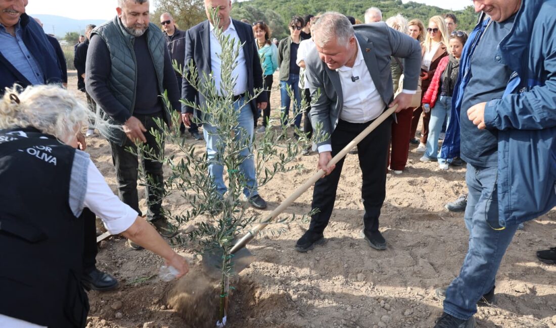 Urla Belediyesi, Gazi Mustafa Kemal Atatürk’ün vasiyeti doğrultusunda oluşturulan Zeytin