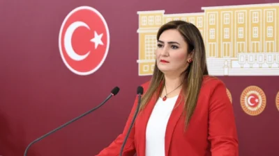CHP İzmir Milletvekili Sevda Erdan Kılıç, şüpheli cinayetleri araştırmak üzere