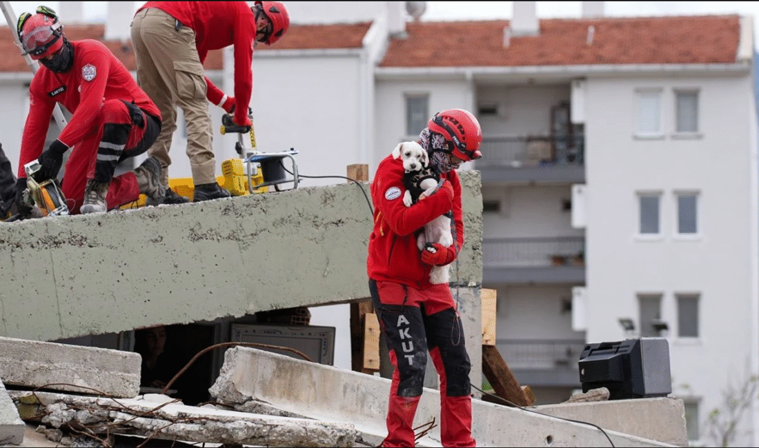Torbalı Belediyesi, HAK-TİM iş birliğiyle 30 ilçe belediyesinin katılımıyla “Canımız
