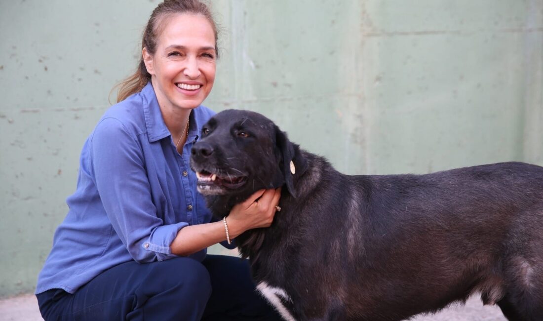 Türkiye’nin en fazla veteriner hekim istihdam eden belediyelerinden Karşıyaka, son