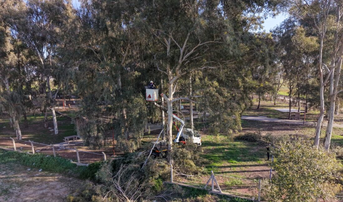 Efeler Belediyesi, Tepecik Mesire Alanı’nda yürüttüğü çevre düzenleme, bakım ve