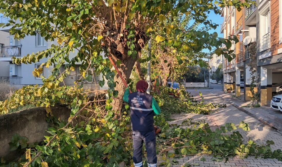 Efeler Belediyesi Park ve Bahçeler Müdürlüğü ekipleri, ilçedeki yeşil alanlarda