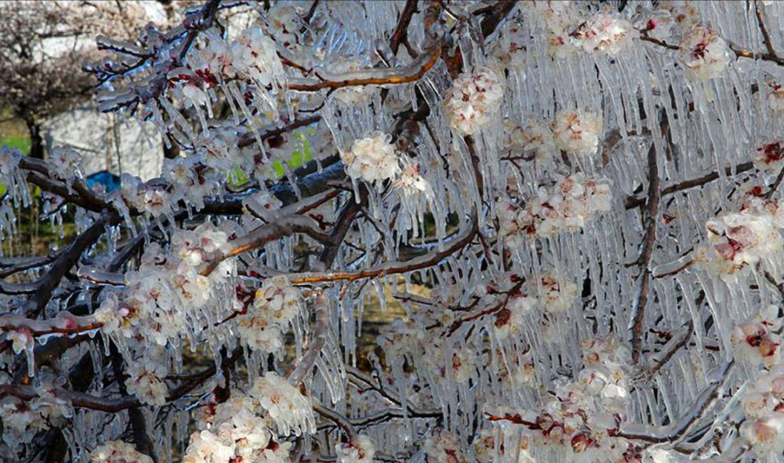 Meteoroloji, İzmir’de 28 Aralık–2 Ocak tarihleri arasında etkili olacak soğuk
